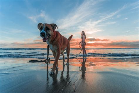 The Photo Shoot (F, g, exhib, voy) .